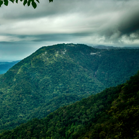 4. Agumbe