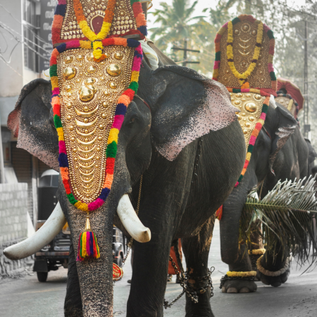  All About kerala's Culture