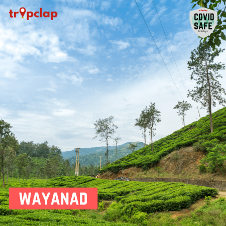 4.4.Wayanad